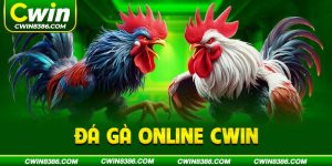 Đá Gà Online CWIN An Toàn, Đặt Cược Chuyên Nghiệp